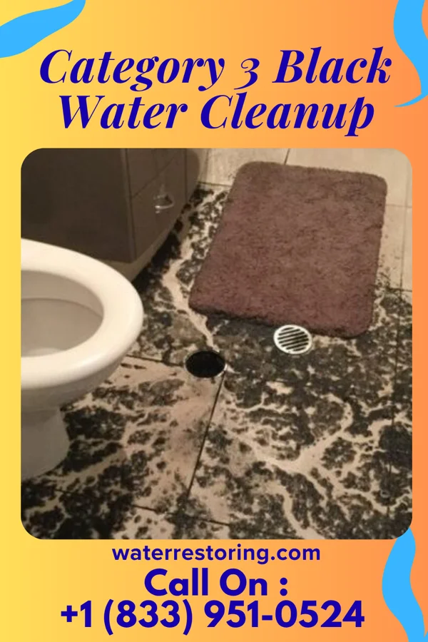 Category 3 Black Water Cleanup in Rogersville, MO