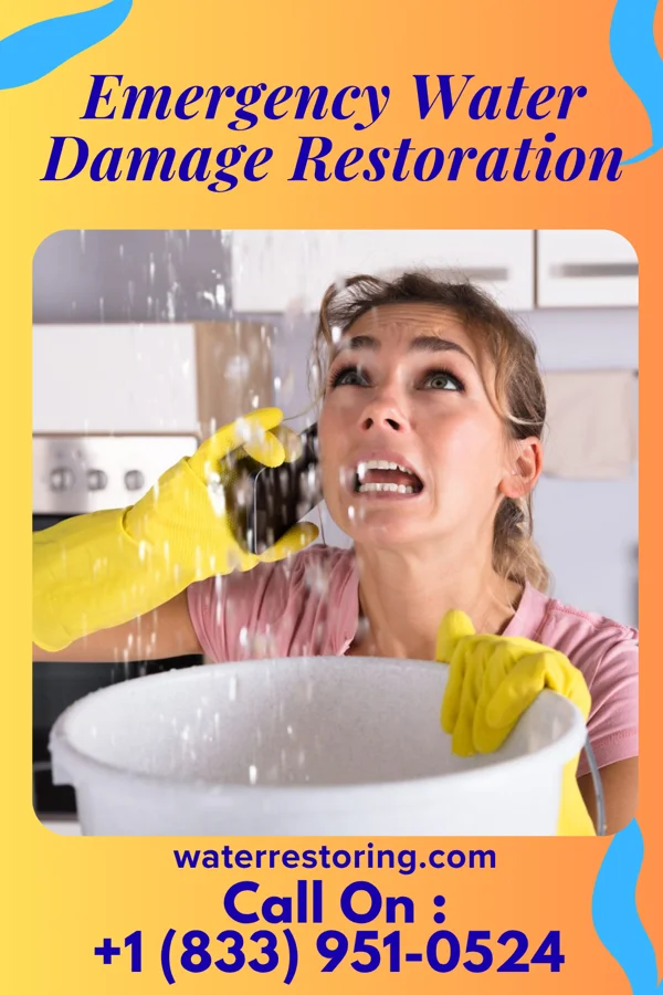Emergency Water Damage Restoration in Rogersville, MO