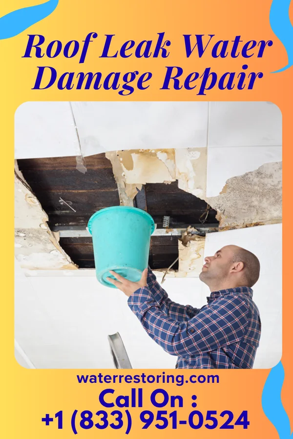 Roof Leak Water Damage Repair in Rogersville, MO