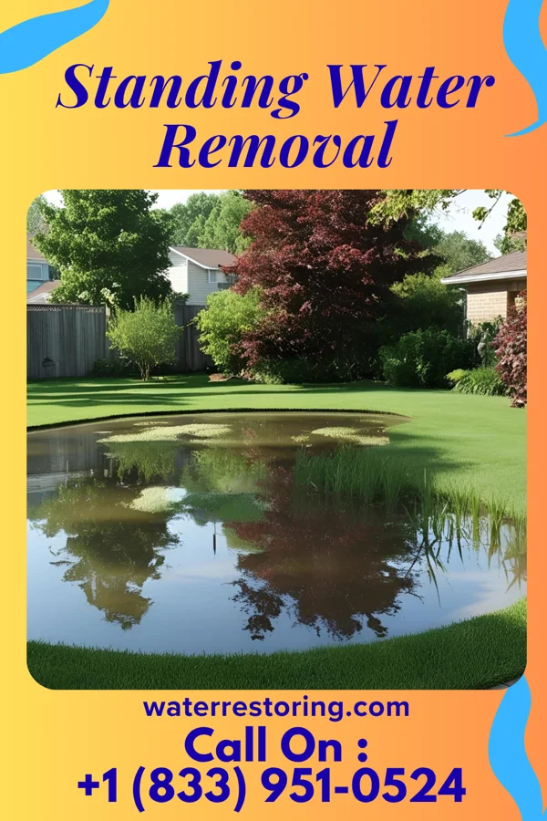 Standing Water Removal in Rogersville, MO